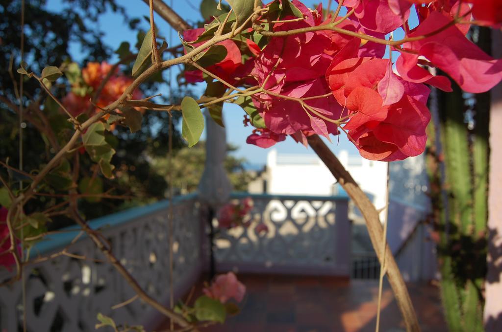 Hotel Casa Bella Mya Taganga Exteriér fotografie